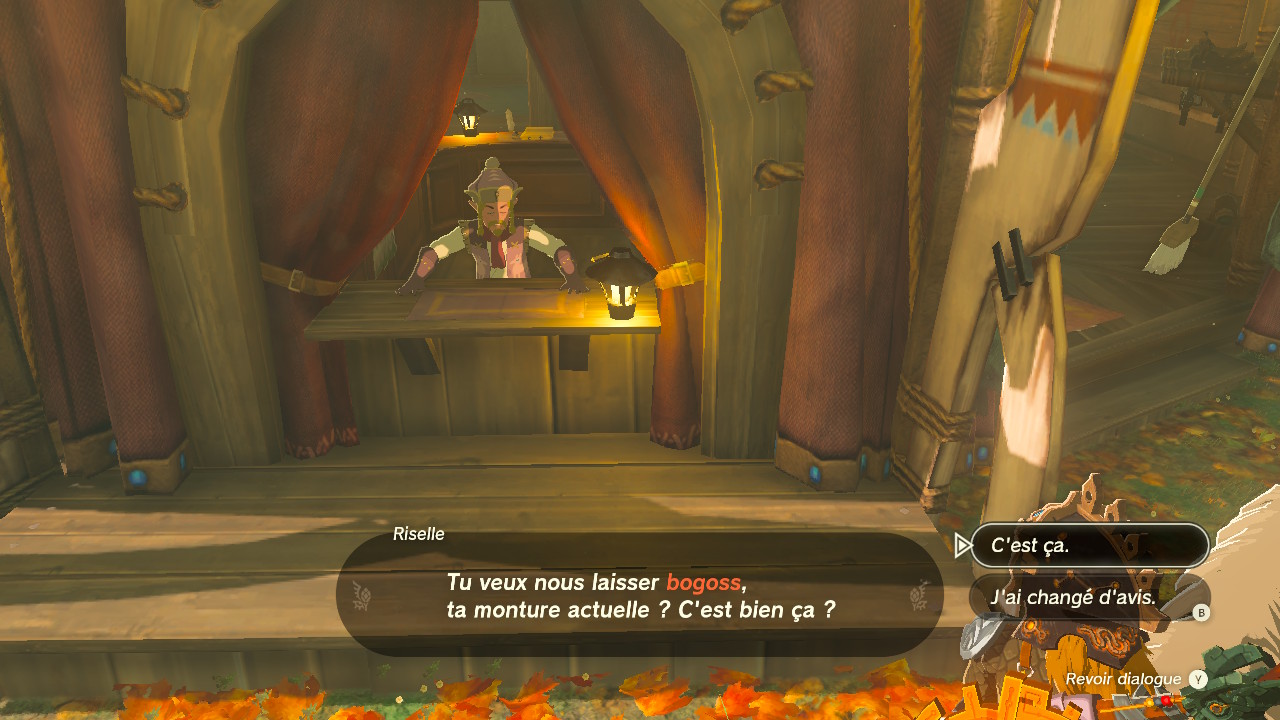 zelda